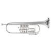 Bb Trompete Custom J. Scherzer 8218W-S "Cologne"